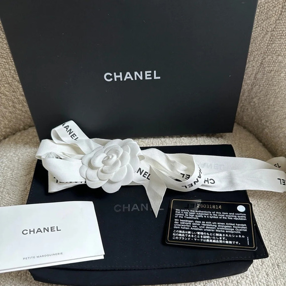 Chanel Barbie Pink Wallet on  Chain WOC - Picture 8 of 14